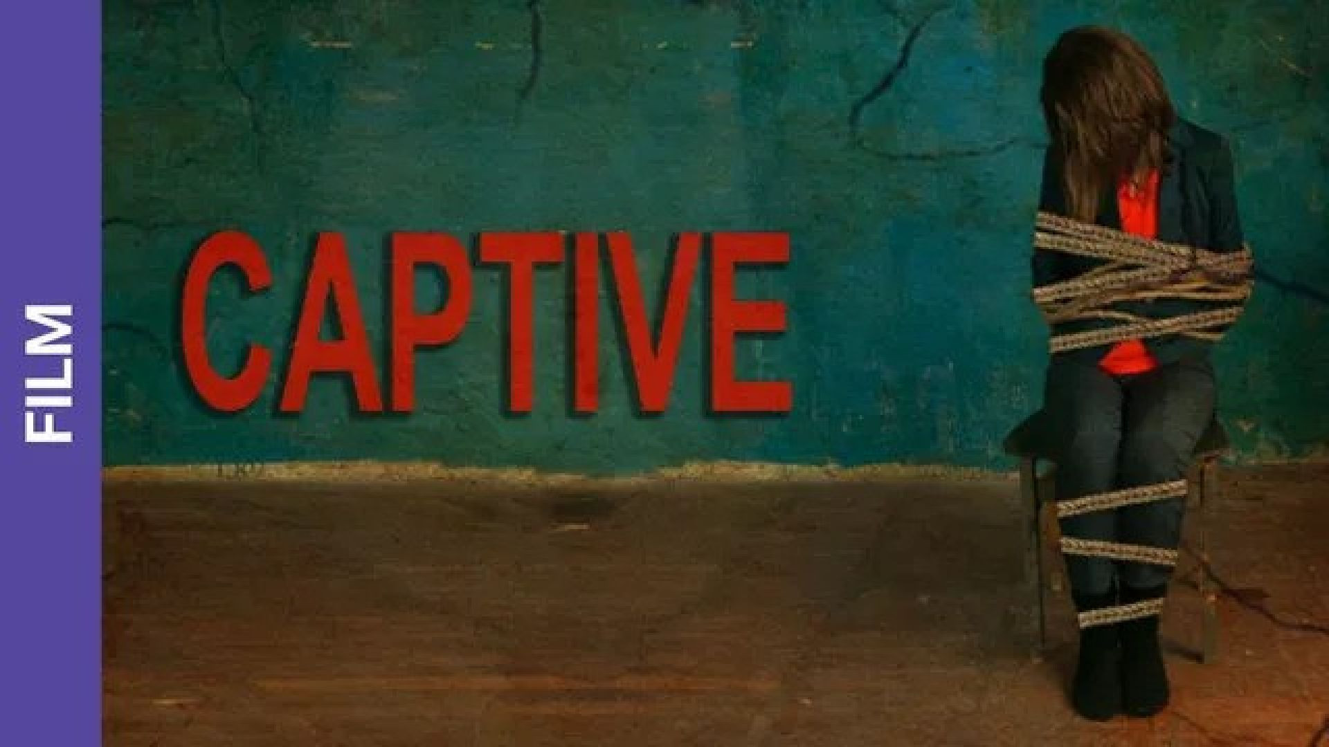 Captive (2013) Dual Audio [Hindi-English] WEB-DL 480P