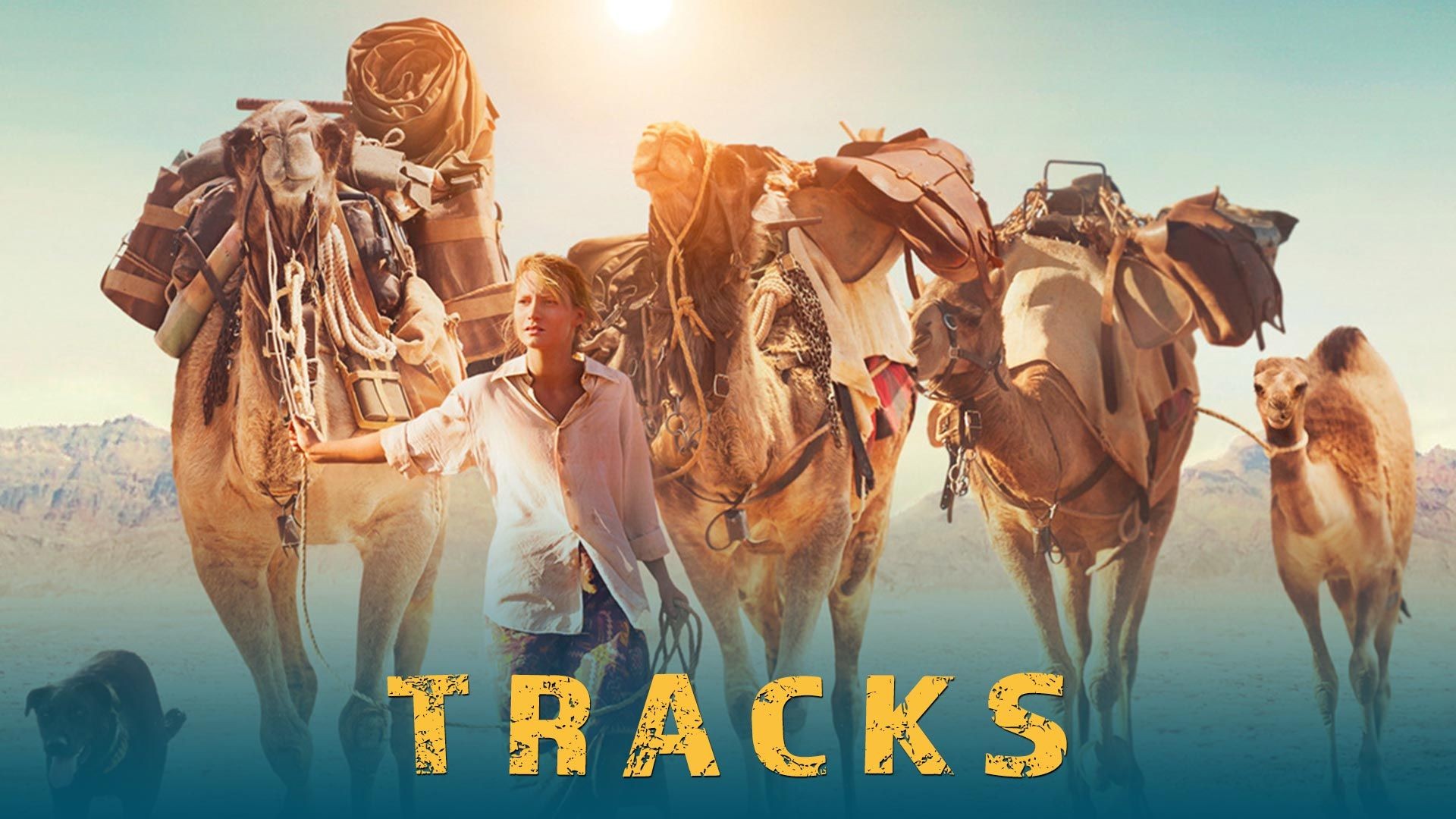 Tracks (2013) English WEB-DL 1080p