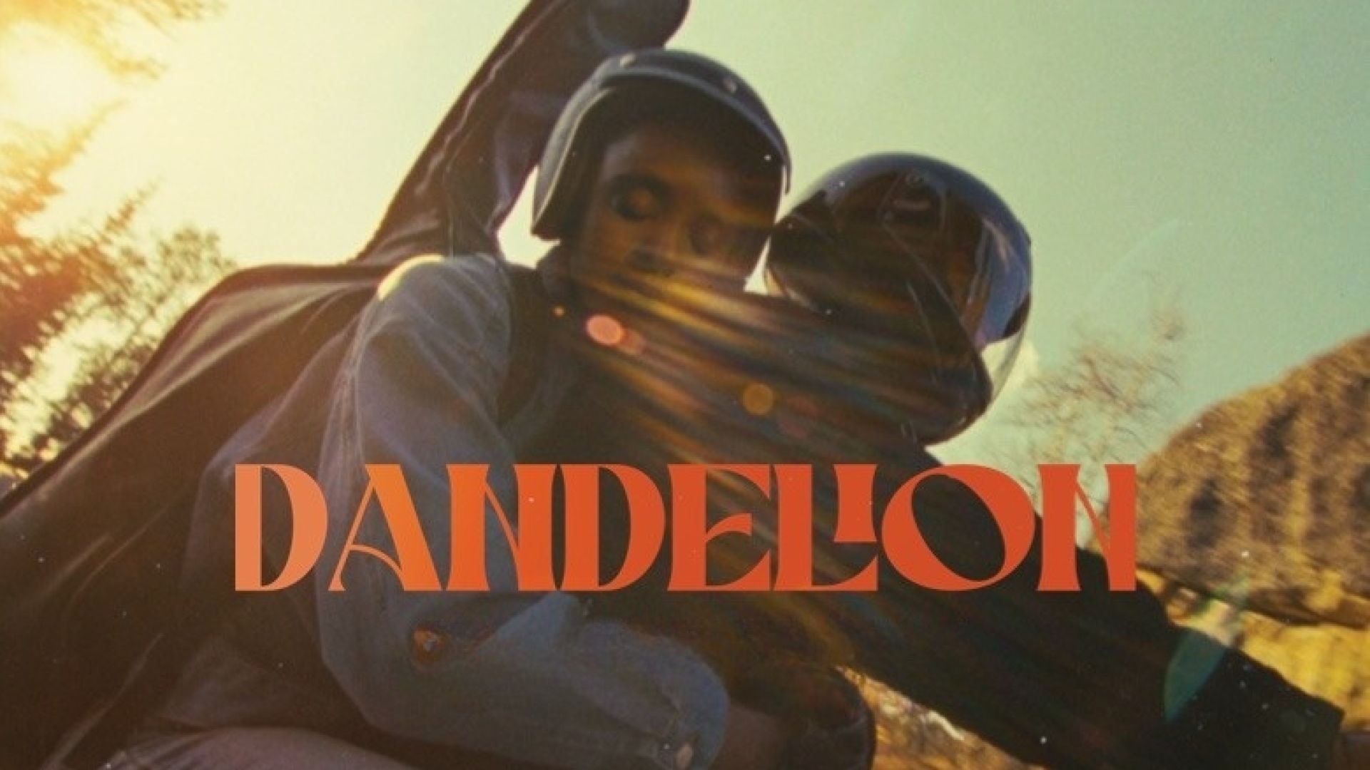 Dandelion (2024) English WEB-DL 480p