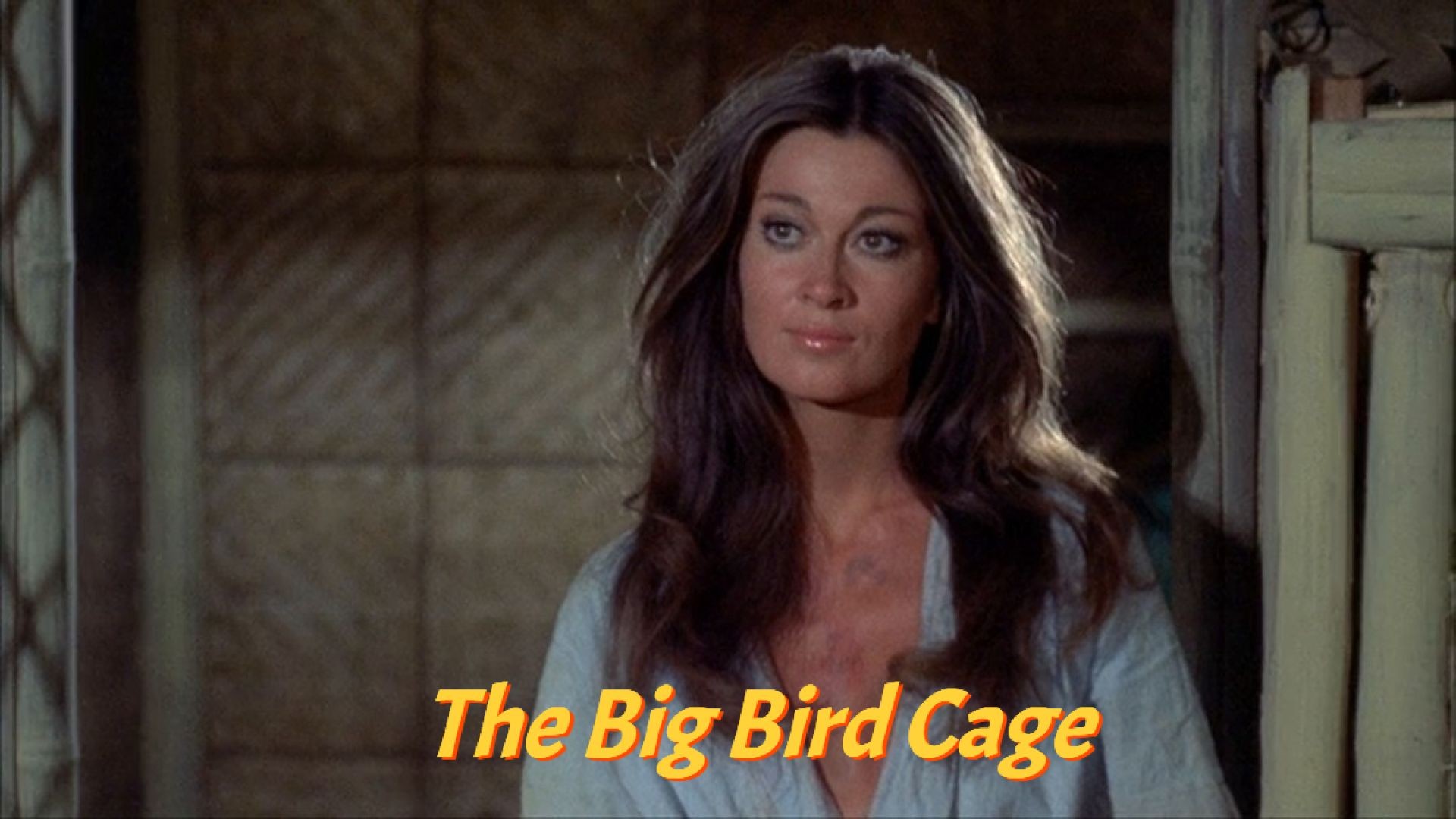 The Big Bird Cage (1972) English WEB-DL