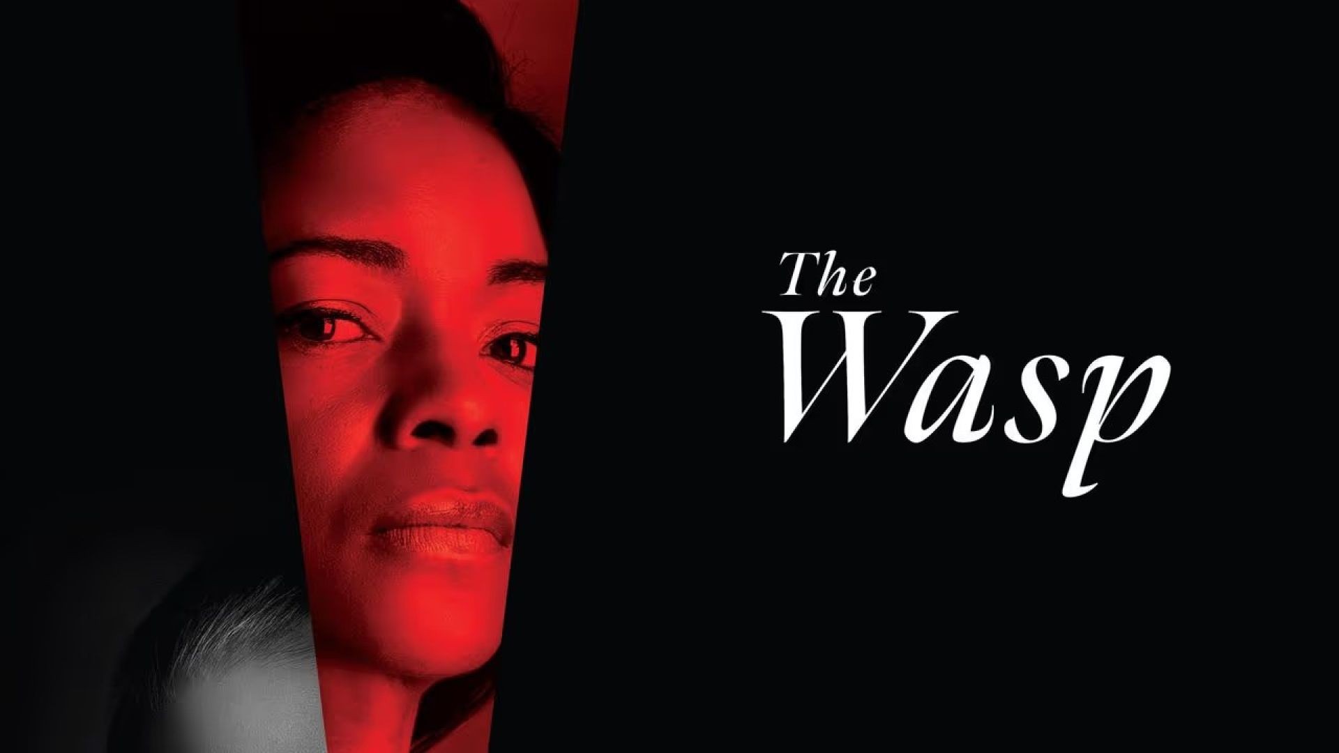 The Wasp (2024) English WEB-DL 480p