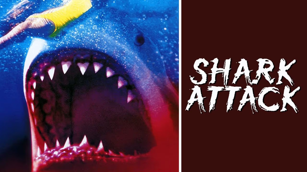 Shark Attack (1999) Dual Audio {Hindi-English} WEB-DL 720p