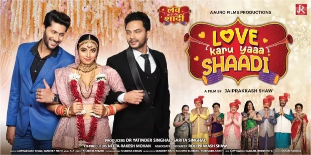 Love karu Yaa Shaadi (2025) Hindi Pre-DvDRip